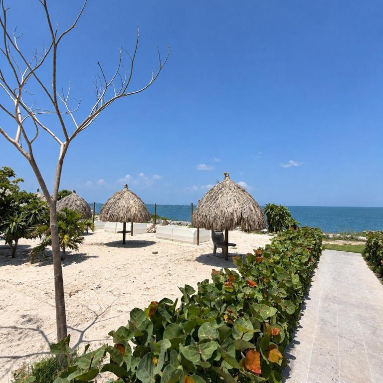 Aluna Beach Club-Ocean View Pool and Beach - One-Bedroom Apartment - 21