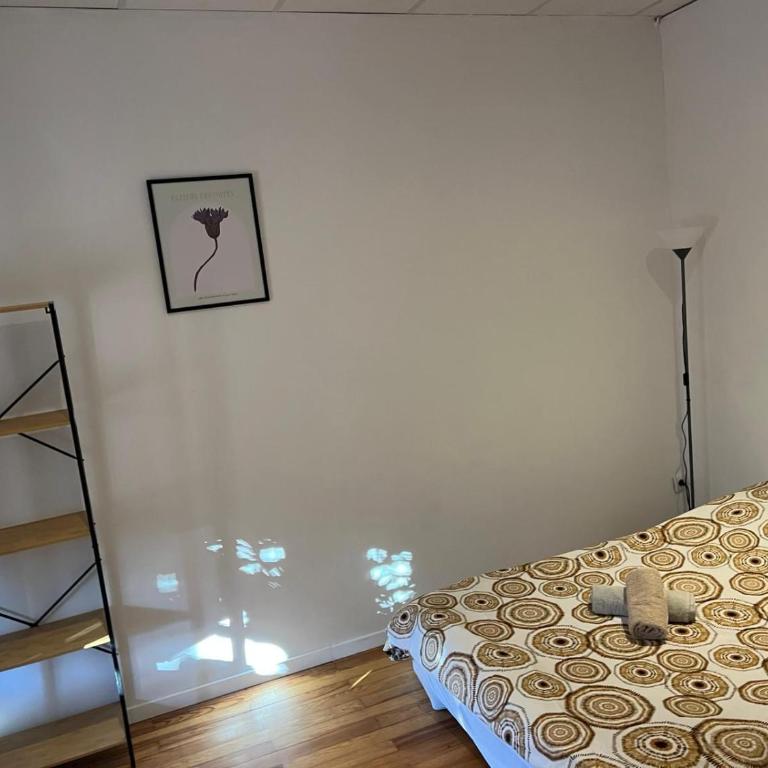 Appartement Centre Colmar - Appartement 1 Chambre - 15