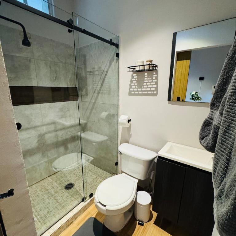 Casa Santiago Loft in the heart of Casco Urbano 3 - Apartment mit 2 Schlafzimmern - 7