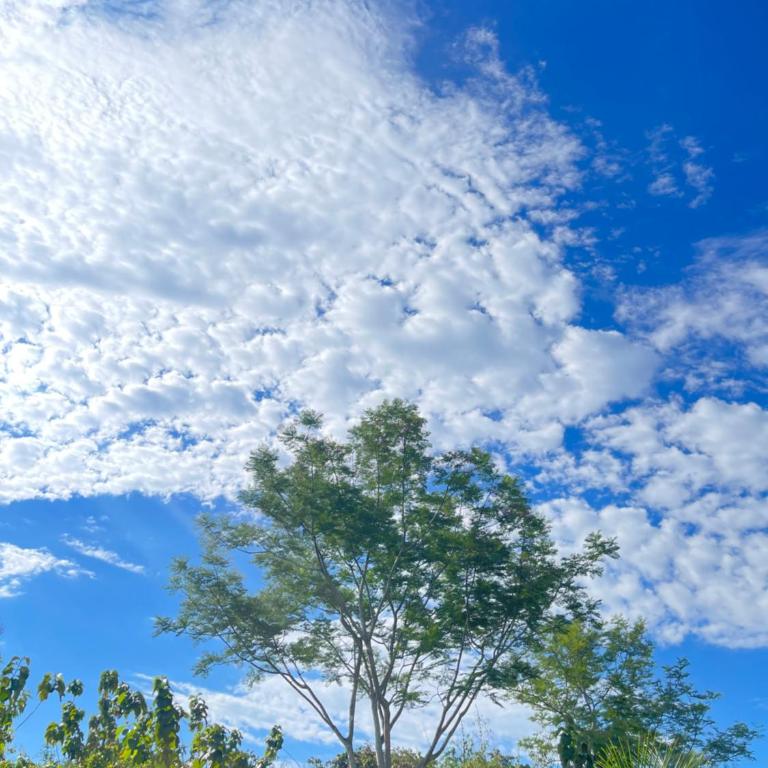 Finca Monteverde en Doradal Piscina jacuzzi y naturaleza hasta 30 personas - Vacation Home - 37