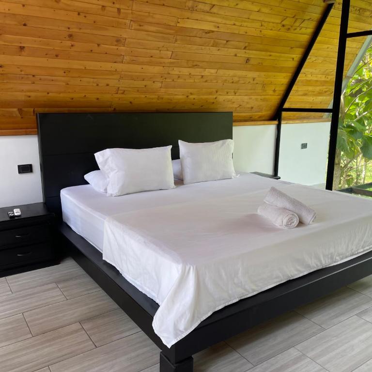 Finca Monteverde en Doradal Piscina jacuzzi y naturaleza hasta 30 personas - Vacation Home - 40