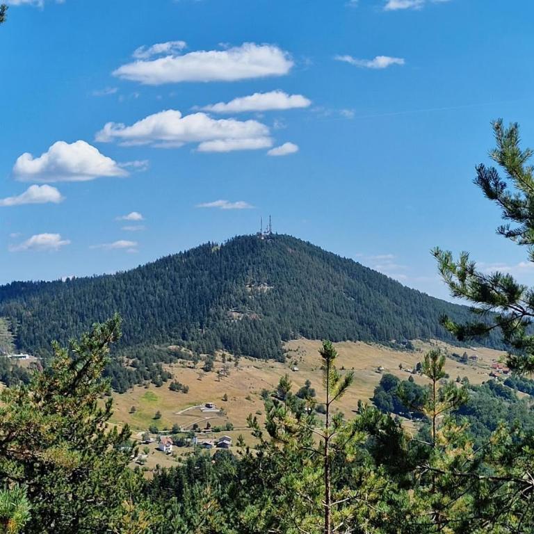 Koliba Dobro drvo Off-Grid Cabin Zlatibor - Chalet mit 1 Schlafzimmer - 62