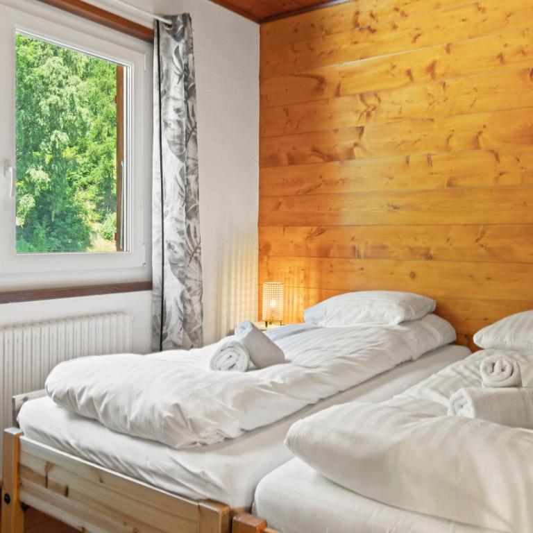 Chalet 10 personnes, vue Dent Blanche, parking - Chalet - 4