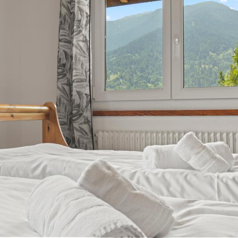 Chalet 10 personnes, vue Dent Blanche, parking - Chalet - 19