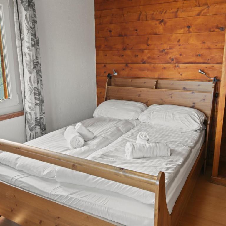 Chalet 10 personnes, vue Dent Blanche, parking - Chalet - 21