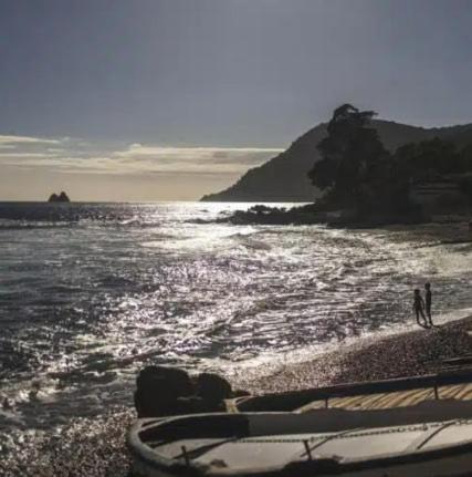 Studette bord de mer clim wifi espace de travail - Studio Supérieur - 10