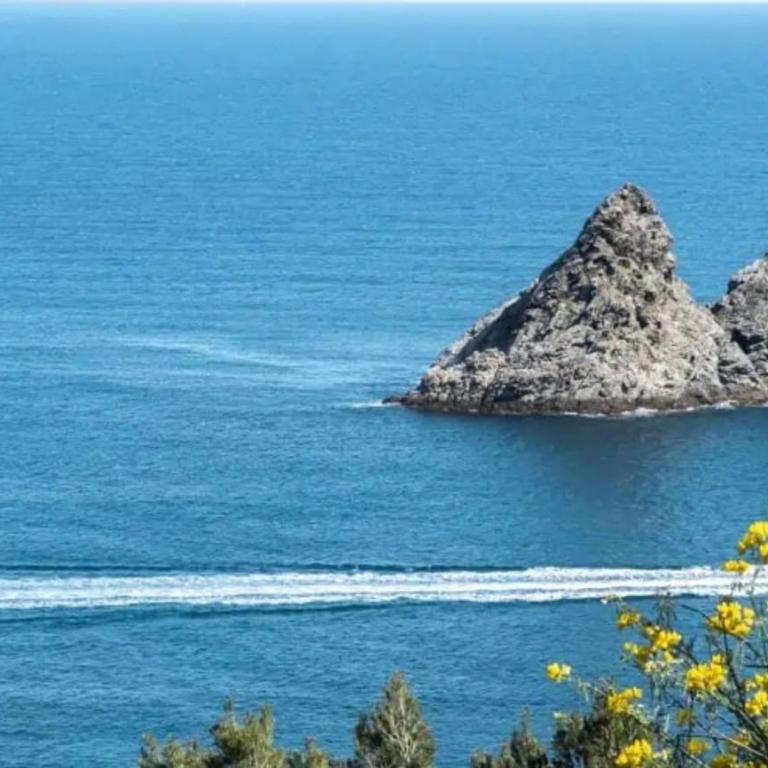 Studette bord de mer clim wifi espace de travail - Studio Supérieur - 9
