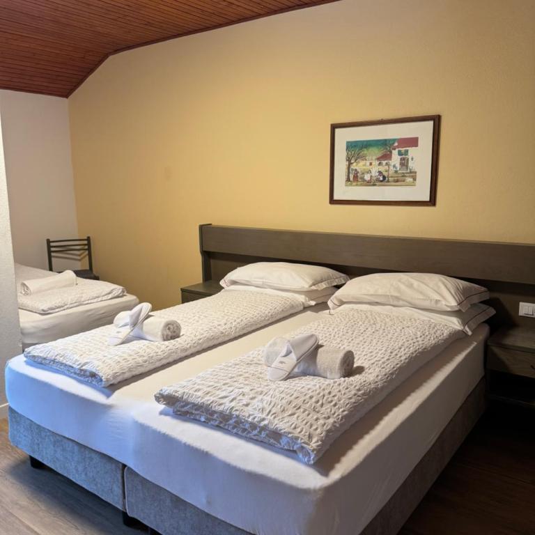 Garden Hotel Bellariva - Habitación Cuádruple Clásica - 1