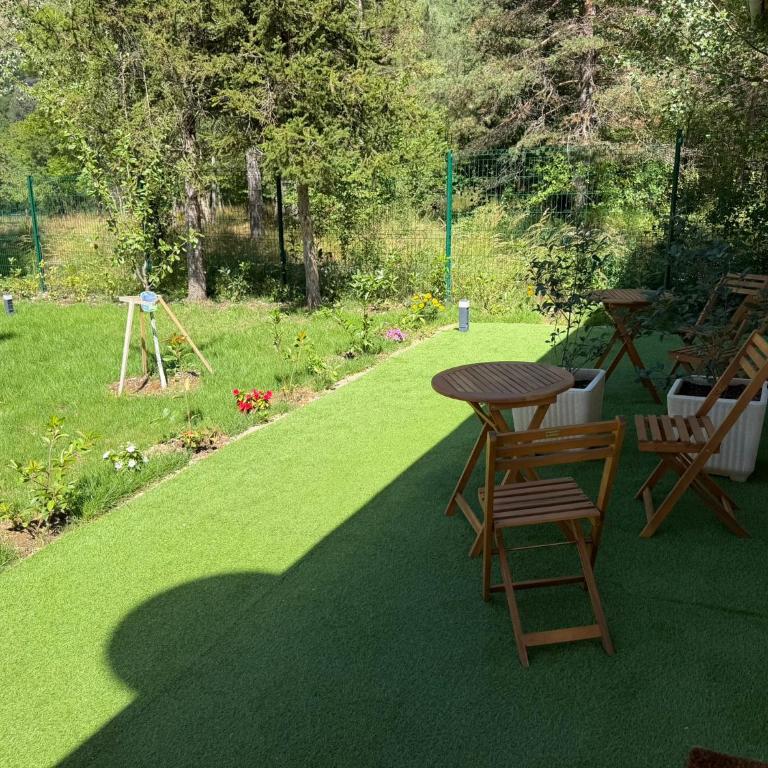 N1 Studio montagne avec Jardin, Calme et nature, Valberg à 18mn, Spa en Option - Studio - 22