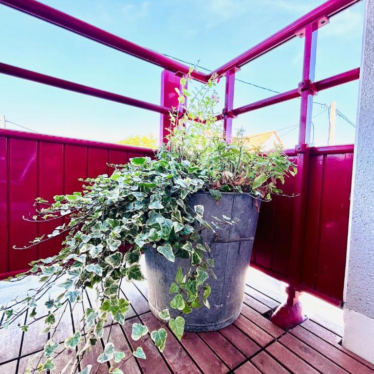 32 m2 appartement idéal famille avec parking privé - Appartement 1 Chambre - 9