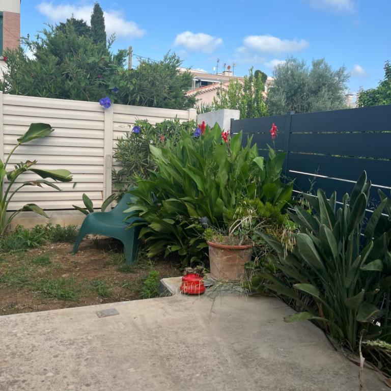 Costa La Ciotat Appartement - Appartement 1 Chambre - 15