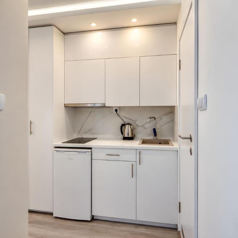 Luxury Boutique City Center Apartments - Standard Apartment - 5