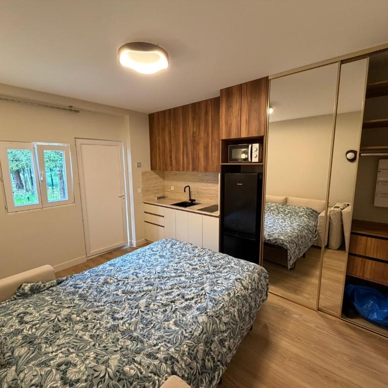 N2 Studio montagne avec Jardin, Calme et nature, Valberg à 18mn, Spa en Option - Studio - 4