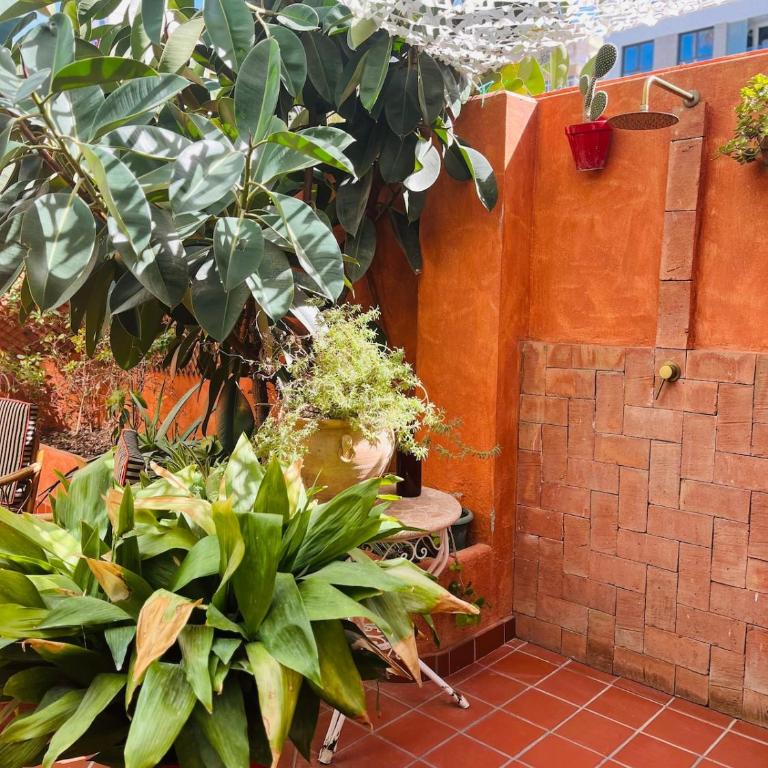 Loft a 5min de la playa - Appartement 1 Chambre - 12