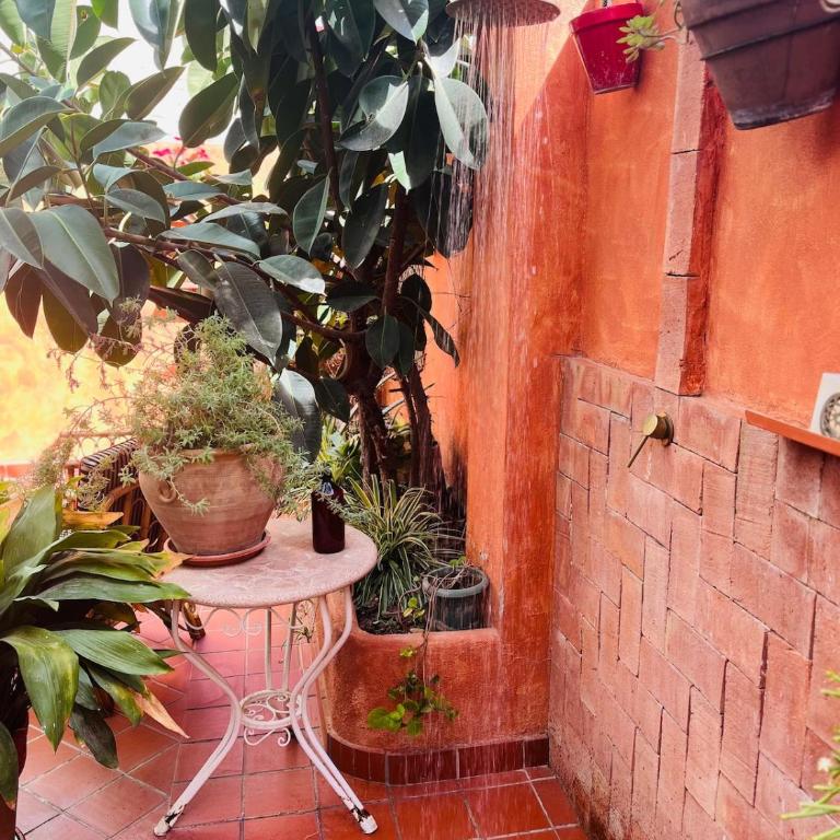 Loft a 5min de la playa - Appartement 1 Chambre - 11