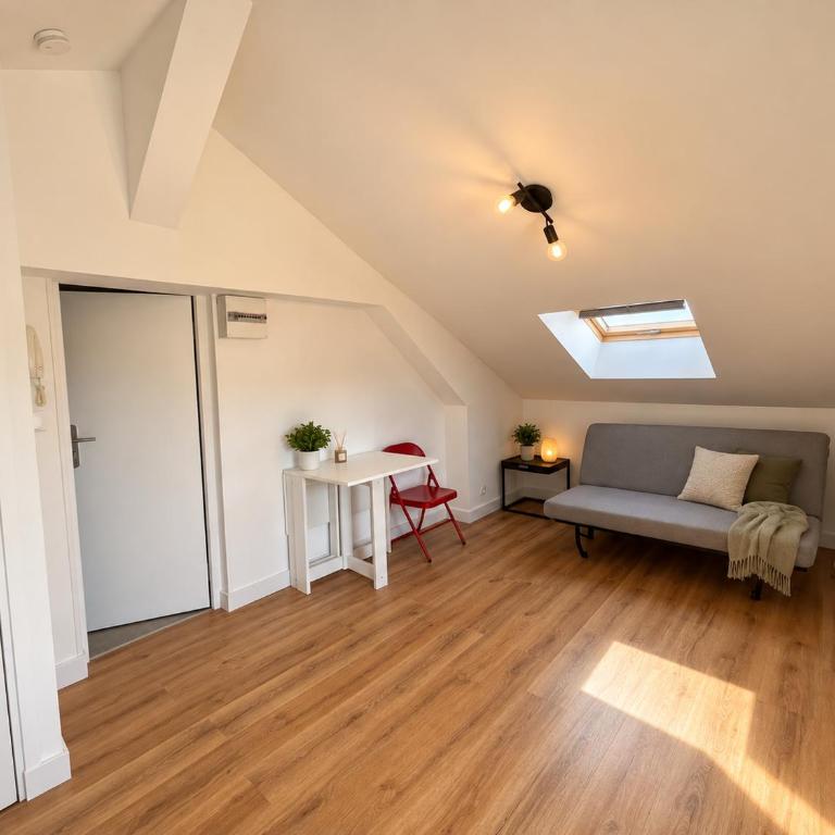 Studio loft sous les toits en centre-ville - Appartement 1 Chambre - 1