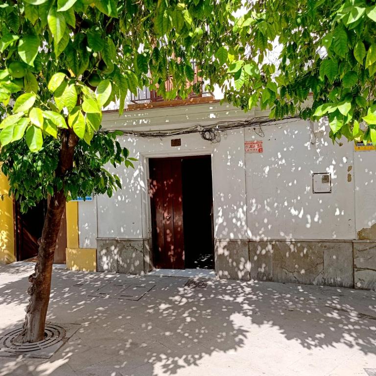 Ático San Agustín - Panoramic View - Apartamento de 1 dormitorio - 24