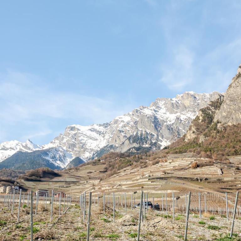 Magnifique VILLA de 120m2 au Coeur du Valais avec piscine en été - Villa mit 3 Schlafzimmern - 18