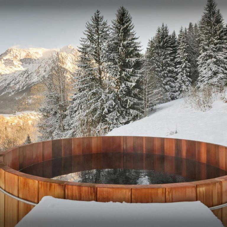 Chalet Piccolo - OVO Network - Chalet - 3