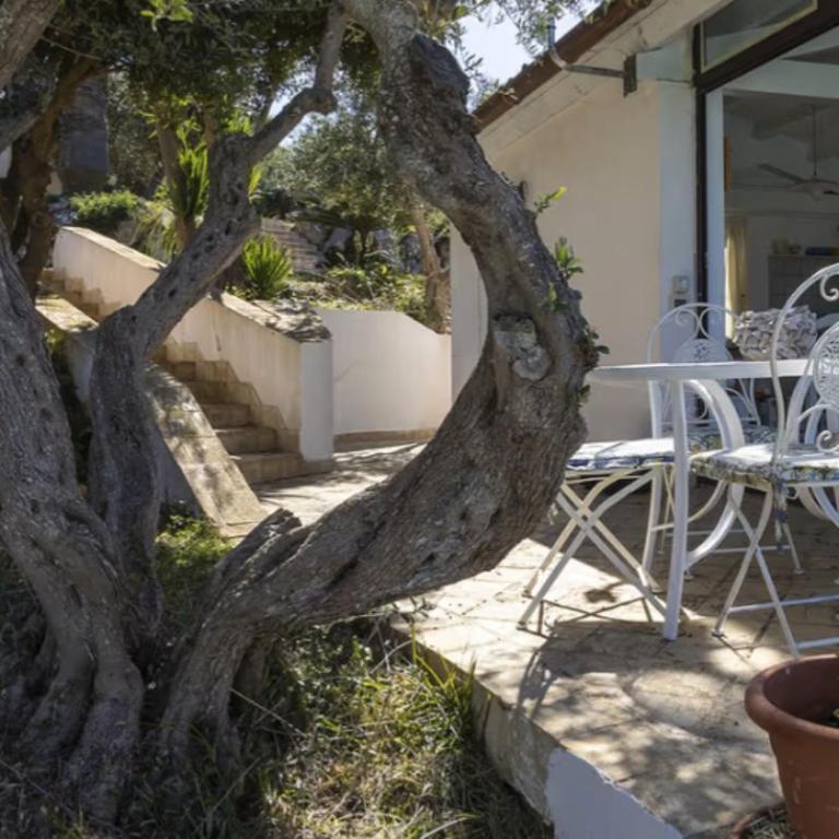 La Terrazza sulle Egadi - Appartamento con Vista Piscina - 3
