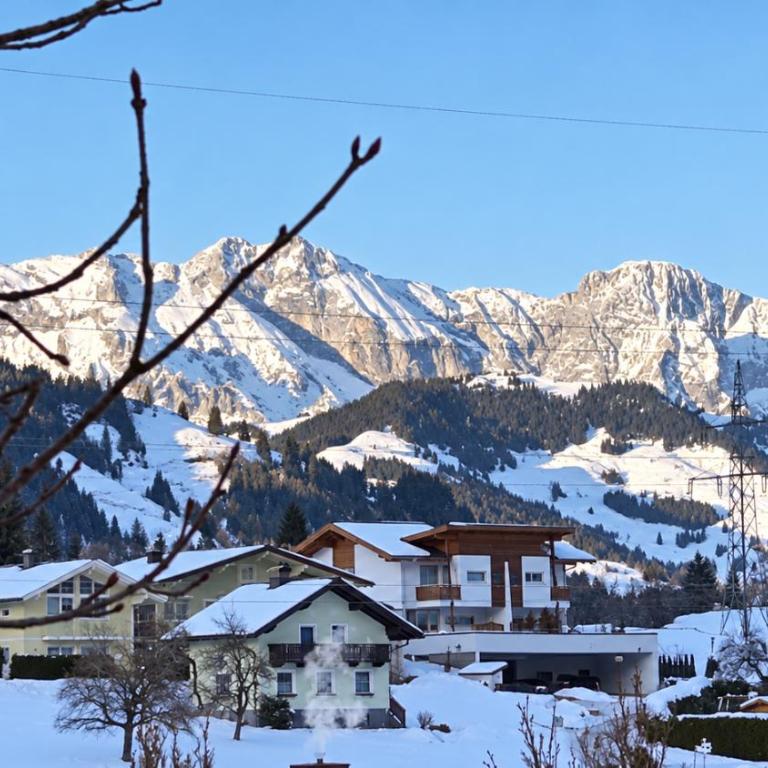 Alpenapartments Embach - Wascherwirt - - Chambre Double Deluxe avec Balcon - 1