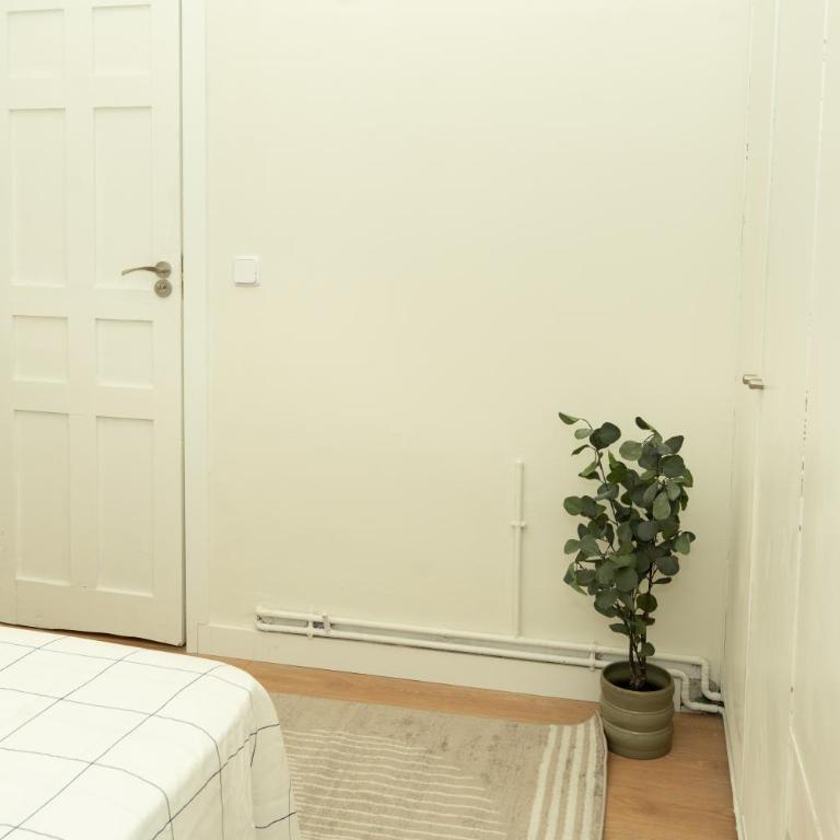 San Andres Street, Private rooms - Camera Tripla con Bagno in Comune - 14