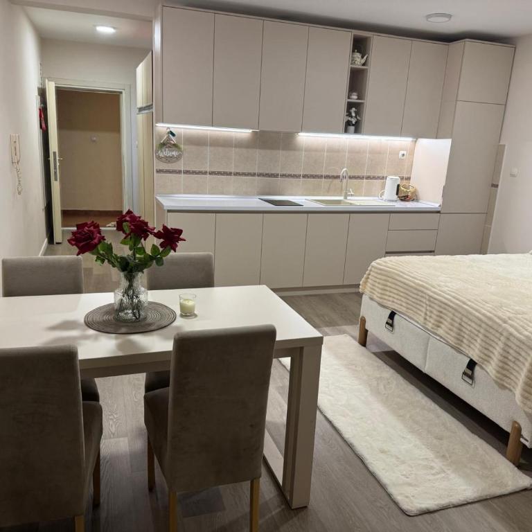 Bez korali Budva - Apartman sa 1 Spavaćom Sobom - 4