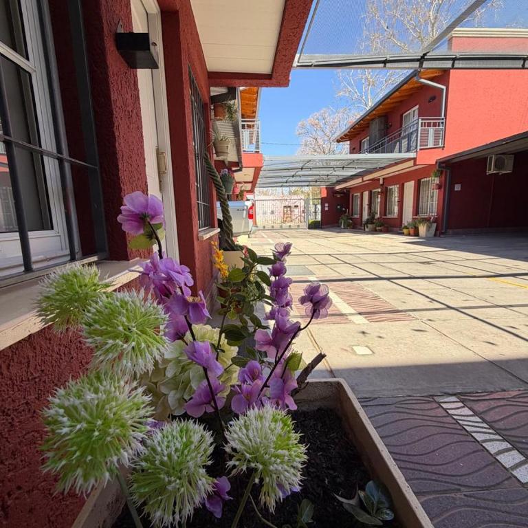 Complejo Mi Sueño - Apartamento de 1 dormitorio - 6