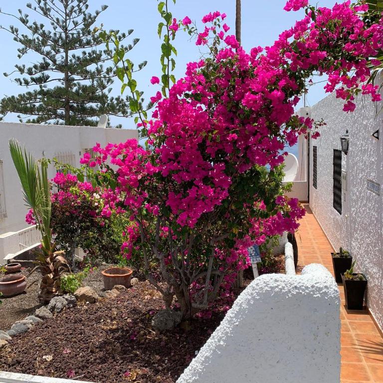 Home Atlantis with private garden & Sea view - Apartamento de 1 dormitorio - 9