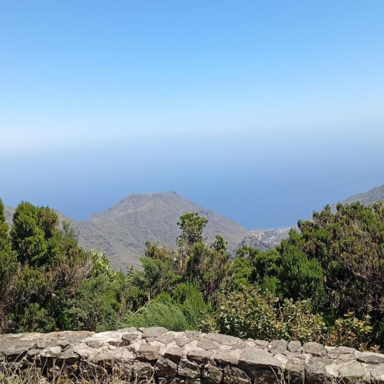 Home Atlantis with private garden & Sea view - Apartamento de 1 dormitorio - 12