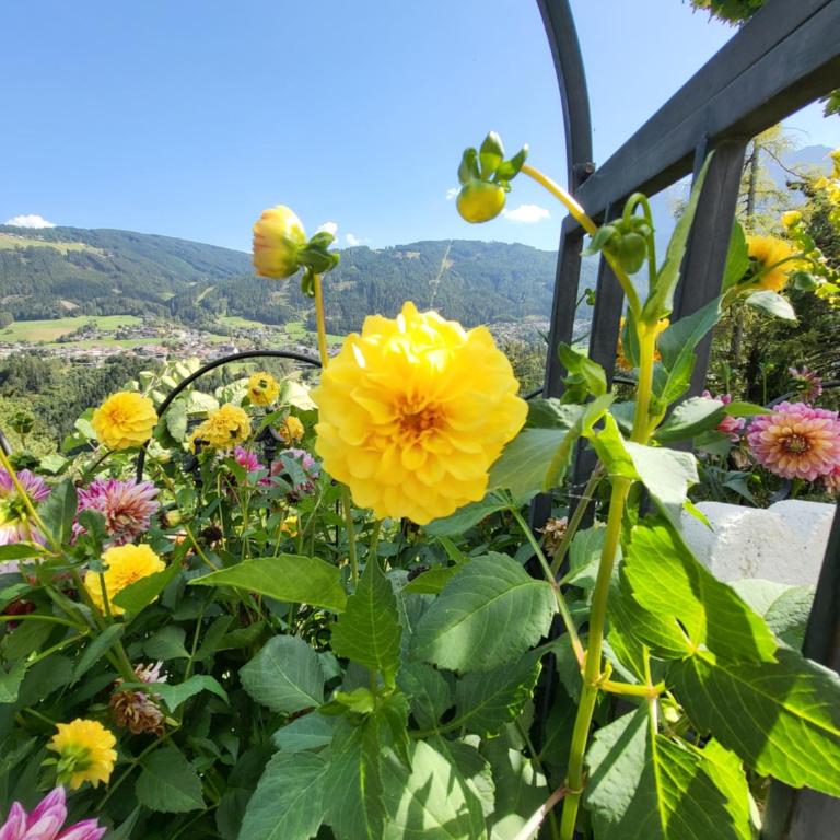 Ferienwohnungen Unterluimes - Comfort Apartment mit 2 Schlafzimmern - 26