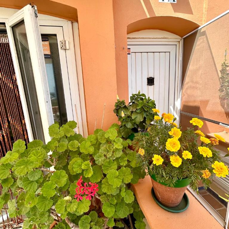 GATU Coral con terraza y vistas al mar - Apartamento de 1 dormitorio con balcón y vistas al mar - 25