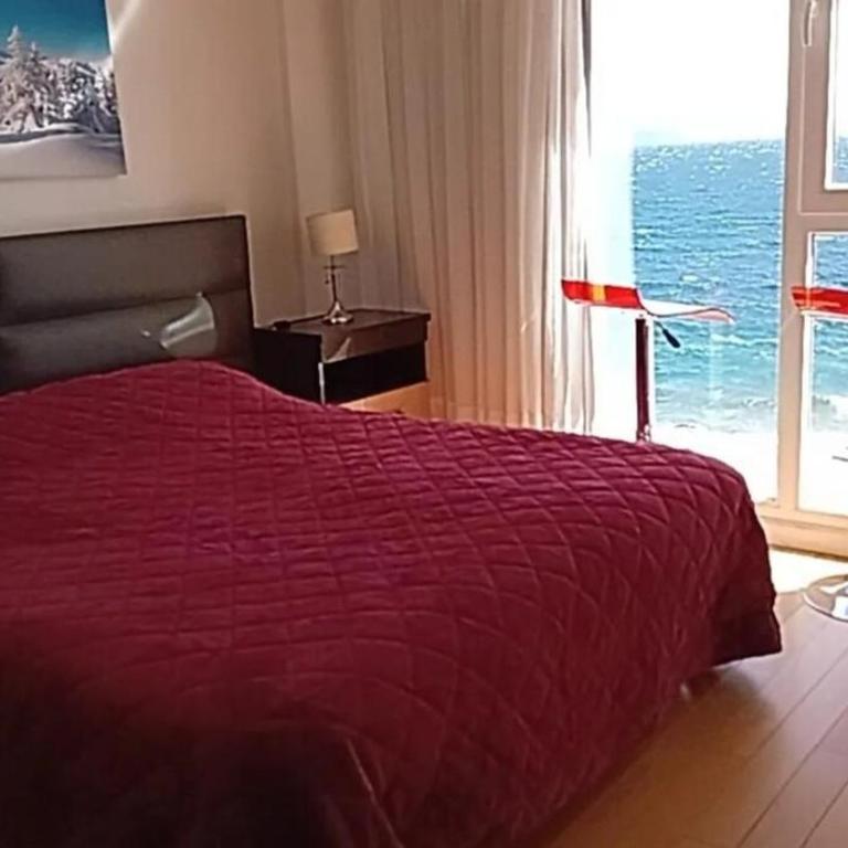 Ollagua 310 - One-Bedroom Apartment - 2