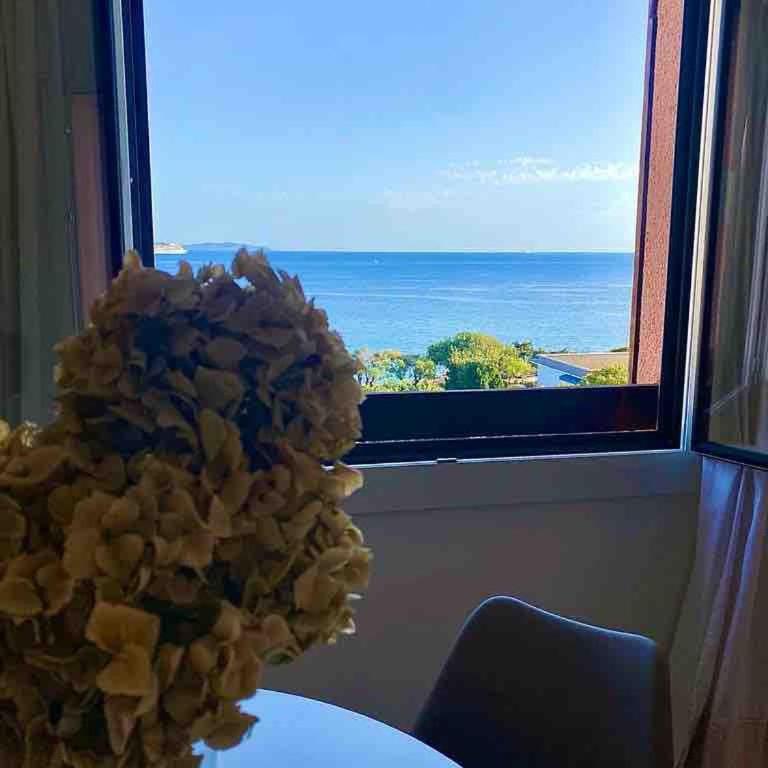 Casamea - T2, Vue Mer, Terrasse, Sanguinaires - Appartement - 5