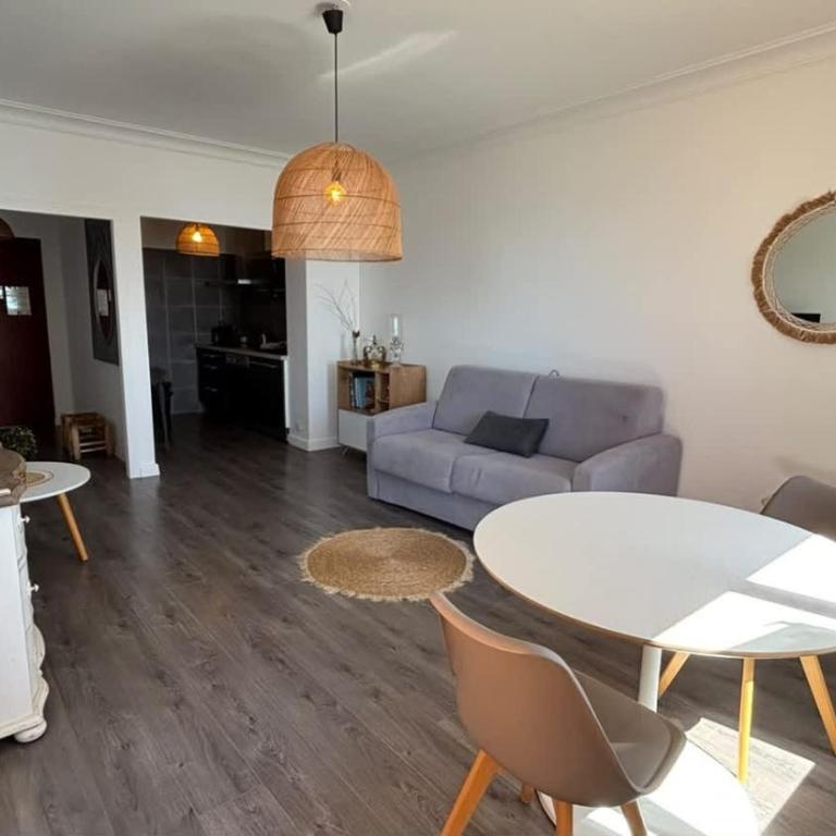 Casamea - T2, Vue Mer, Terrasse, Sanguinaires - Appartement - 17