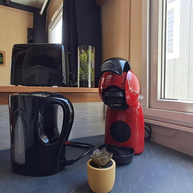 Ambre Air conditioned chalet Barbecue Sea 10 min - Appartement 2 Chambres - 13