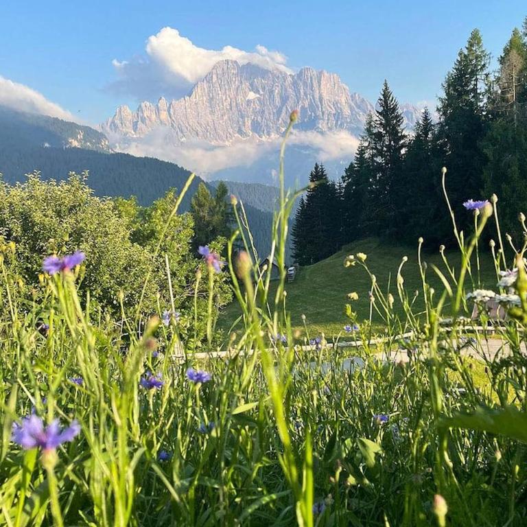 Casa Tie Dolomites Peace, space & stunning views - Casa con 4 camere da letto - 19