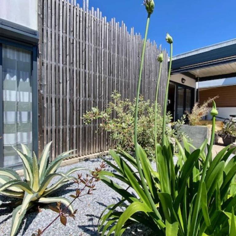 Maison calme avec terrasse et jardin plein sud - Appartement - 12