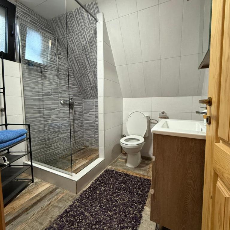 Gocki Raj 2024 - Apartman sa 1 Spavaćom Sobom - 8