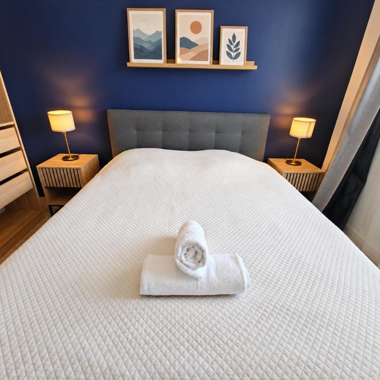 Spacieux T4 vue sur les Alpes - Appartement 3 Chambres - 18