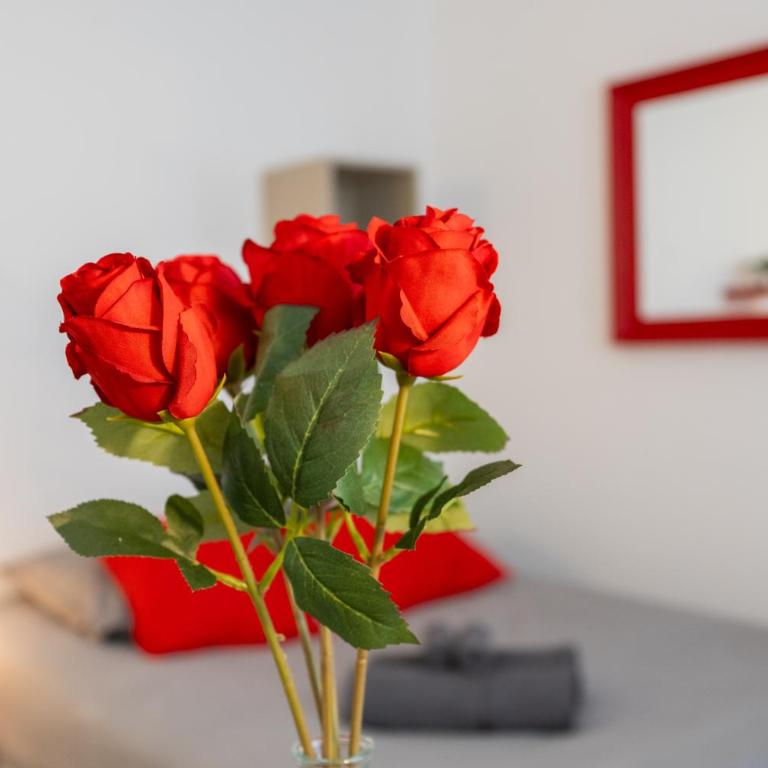 La Cerise - Strasbourg Centre - Cozy Studio - Wifi & TV - Appartement 1 Chambre - 26