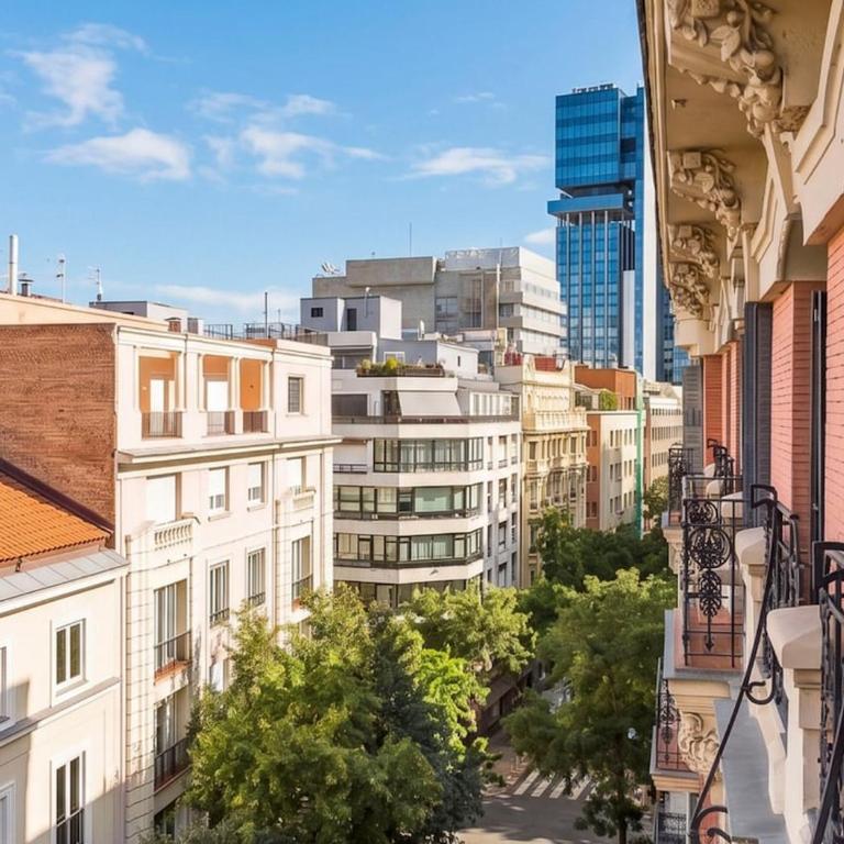 Renovated luxury apartment in the Barrio de Salamanca - Appartamento Deluxe - 27