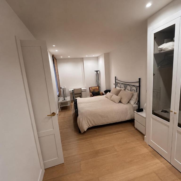 Renovated luxury apartment in the Barrio de Salamanca - Appartamento Deluxe - 28