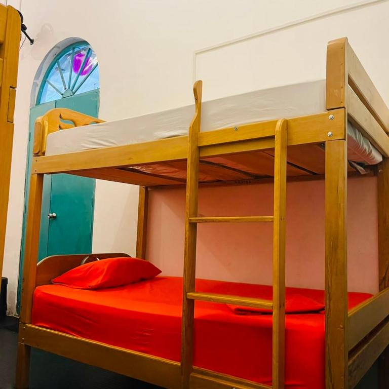 A&T Amazon Backpackers - Bed in 8-Bed Mixed Dormitory Room - 1