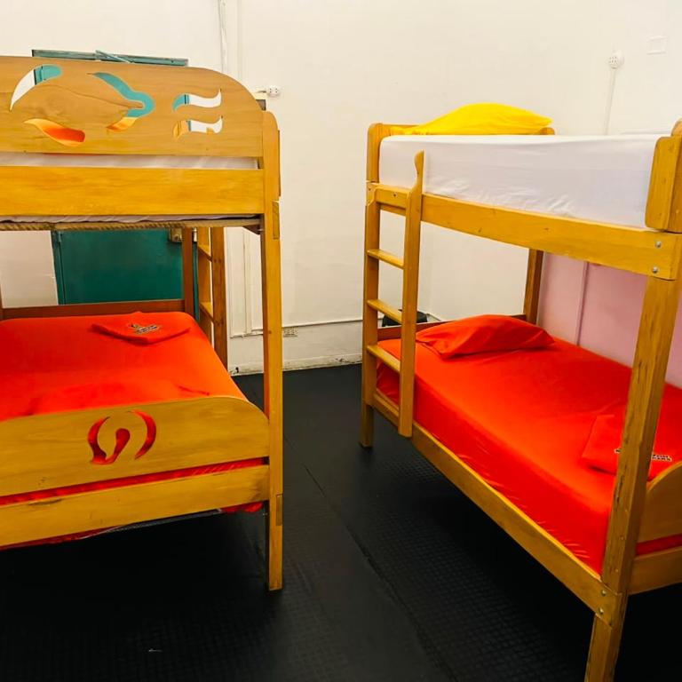 A&T Amazon Backpackers - Bed in 8-Bed Mixed Dormitory Room - 2