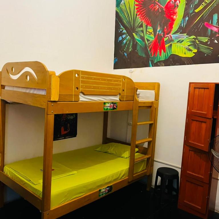 A&T Amazon Backpackers - Bed in 6-Bed Mixed Dormitory Room - 2