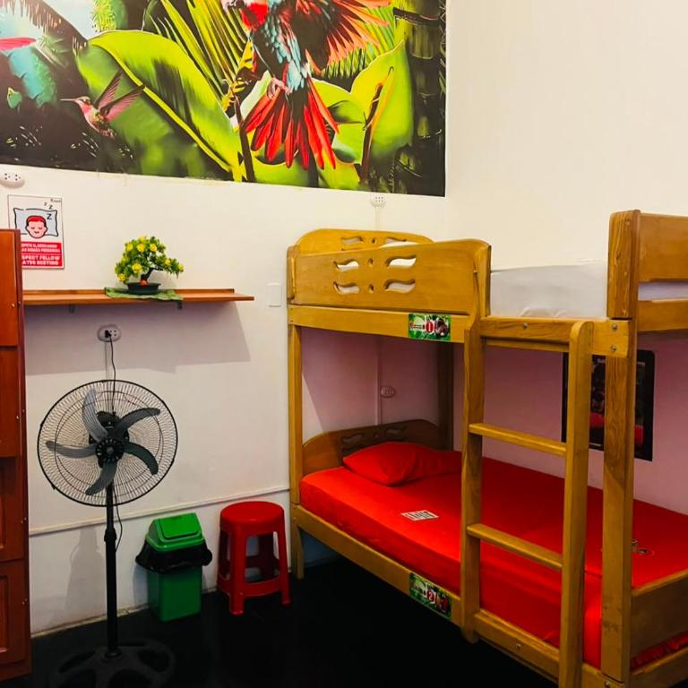 A&T Amazon Backpackers - Bed in 6-Bed Mixed Dormitory Room - 1