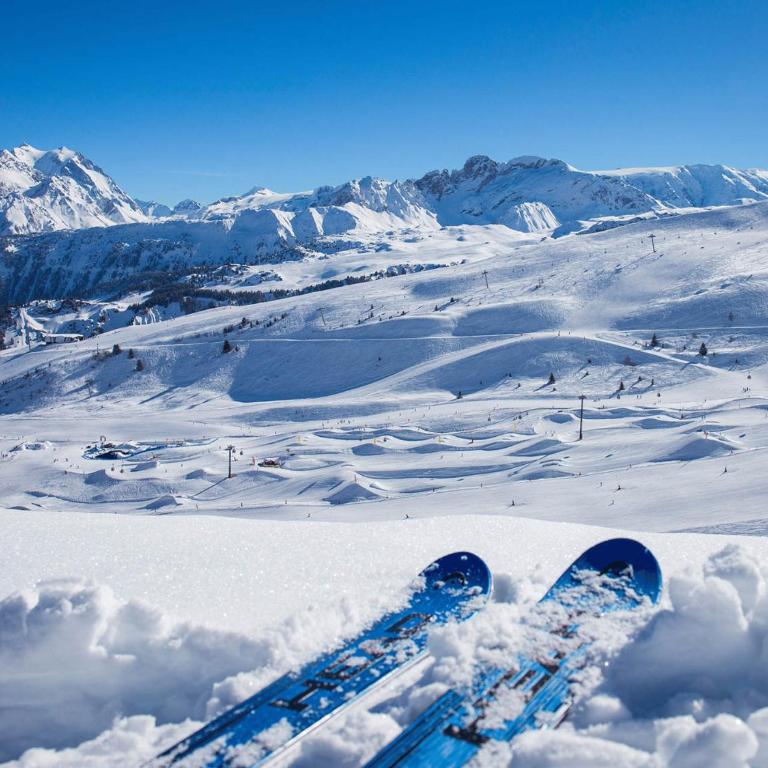 2 Pièces Confortables, Skis aux Pieds, Animaux Admis - Appartement 1 Chambre - 14