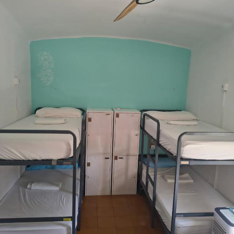 Can Cocollona - Cama individual en habitación compartida mixta - 4
