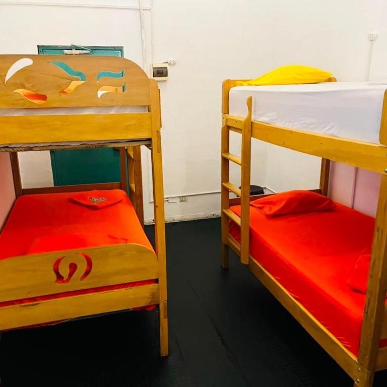 A&T Amazon Backpackers - Bed in 4-Bed Mixed Dormitory Room - 5